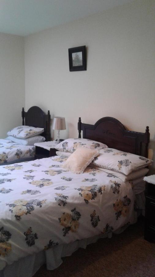 Laurel Lodge Shannonbridge 外观 照片