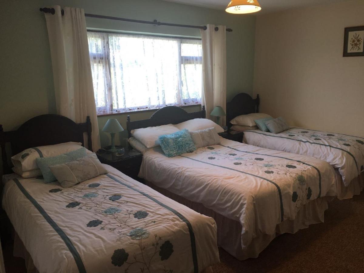 Laurel Lodge Shannonbridge 外观 照片
